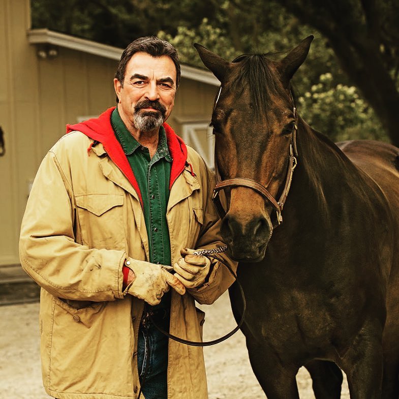 Tom Selleck: Complete Bio, Age, Career, Net Worth & More